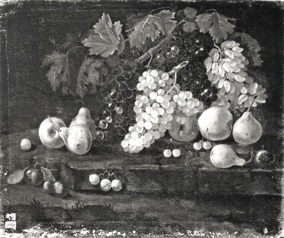 A. Villani e Figli — Spadino (copia da). Natura morta di frutta. Bologna - Gall. Davia Bargellini — insieme